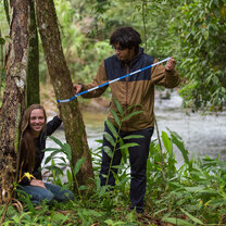 Tree Inventory Tree Inventory